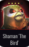 Warrior Shaman "The Bird"